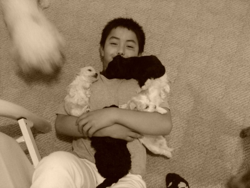 david as a kid with puppies